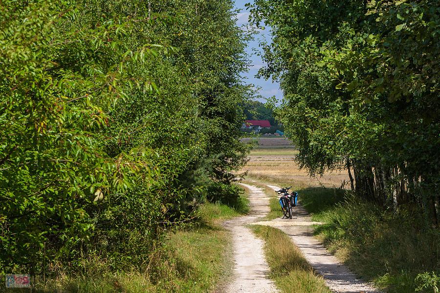Krzepice, rower grzecznie czeka