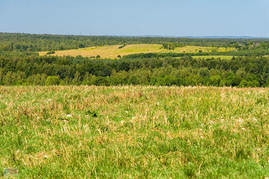 Wysoka w gminie Łazy.