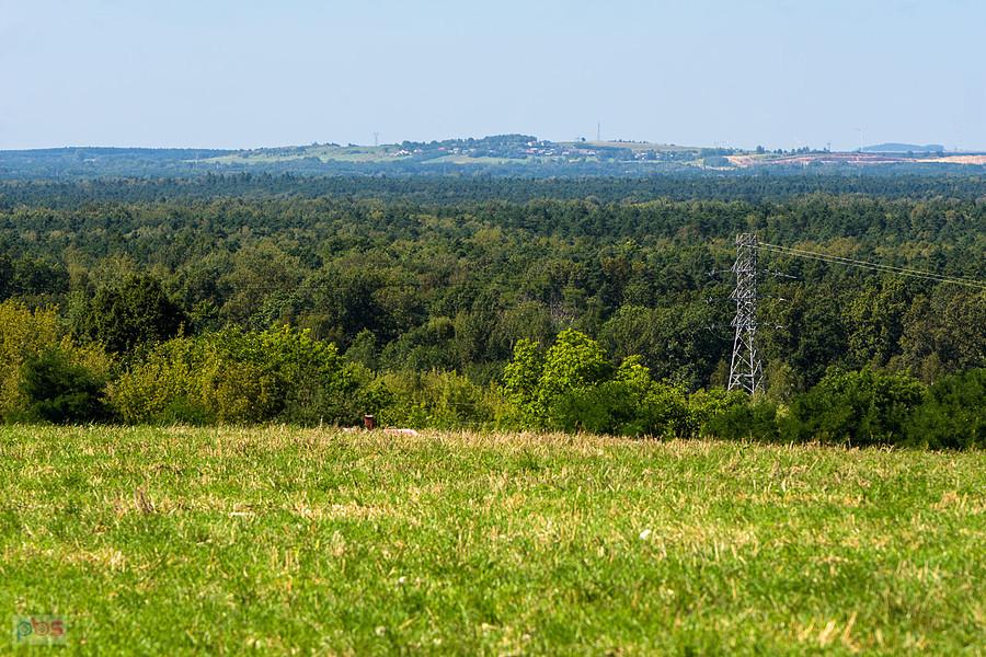 Wysoka w gminie Łazy.