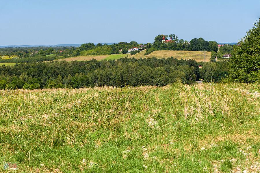 Wysoka w gminie Łazy.
