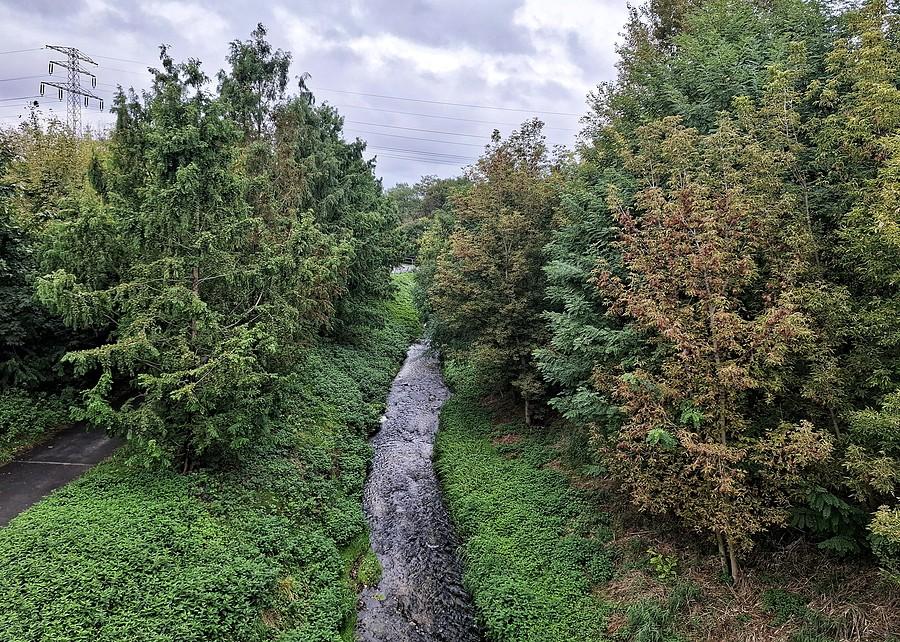 Widok na Rzeczkę Główną