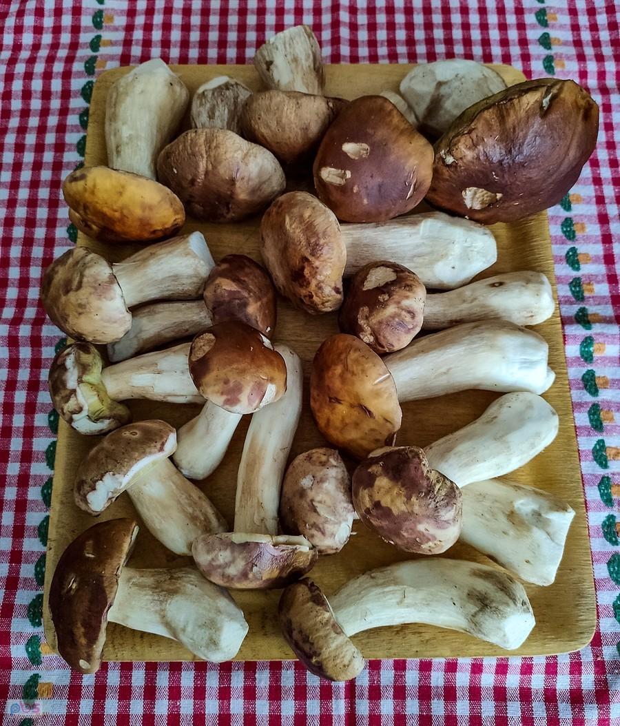 Dzisiejszy łup