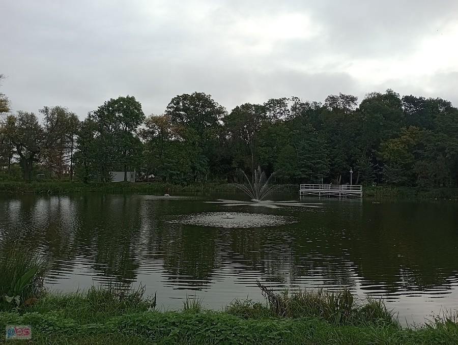 Staw w Ołtarzewie