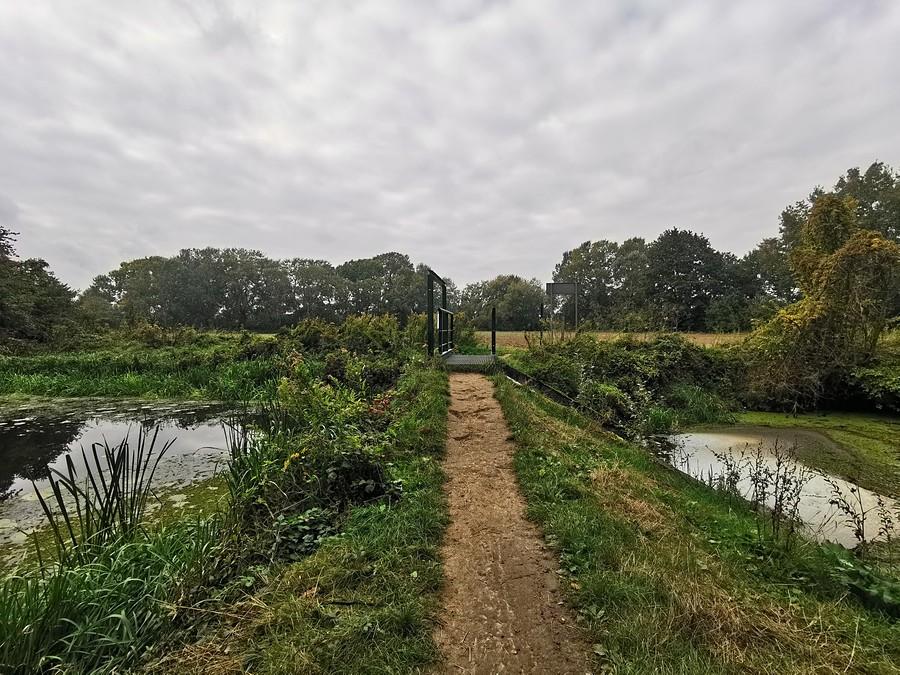 Mostek nad odnogą Wilanówki