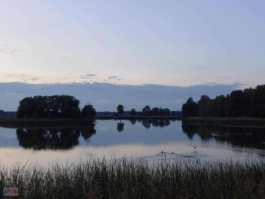 Stawy Sarnów