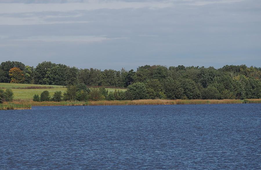 Stawy Ośniańskie