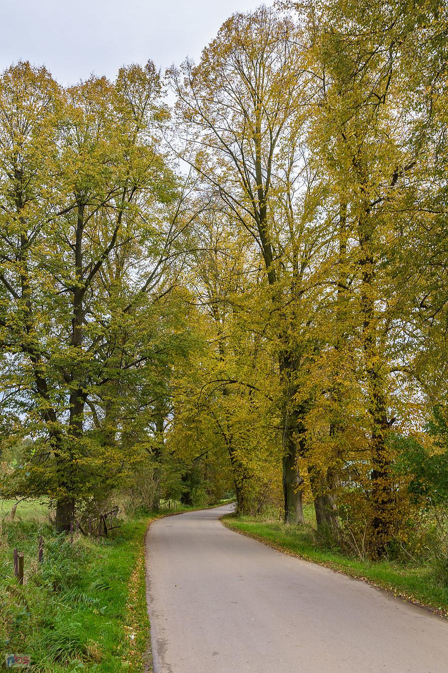 Korwinów, ul. Spadkowa
