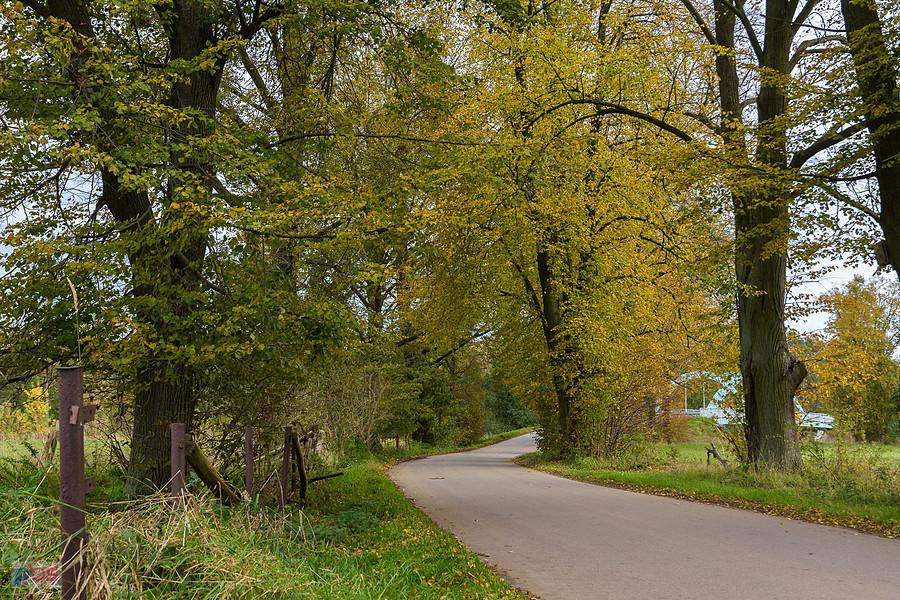 Korwinów, ul. Spadkowa, a w tle most nad Wartą
