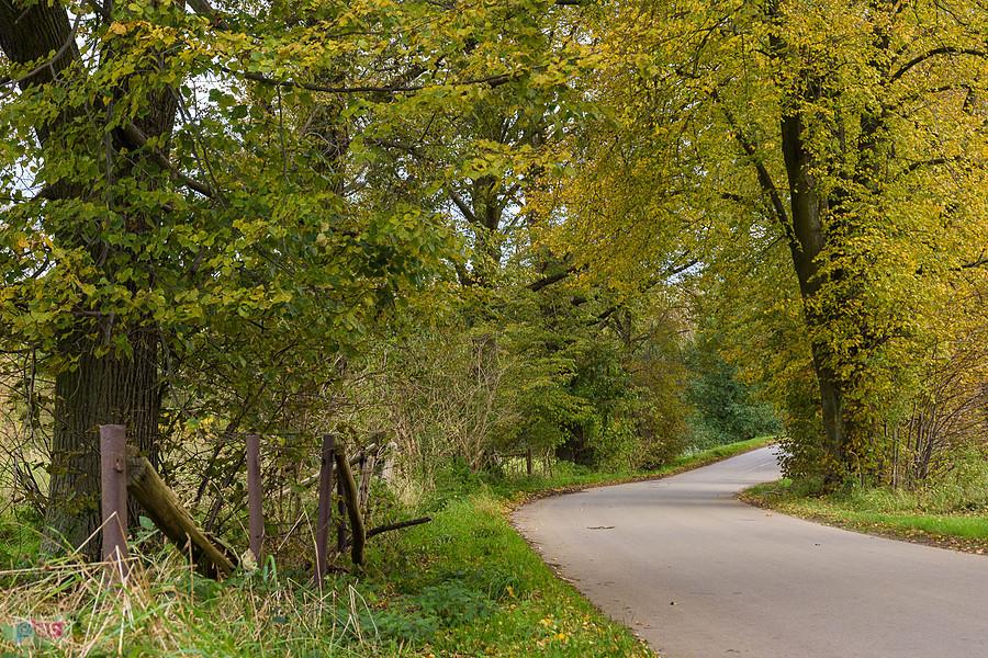 Korwinów, ul. Spadkowa
