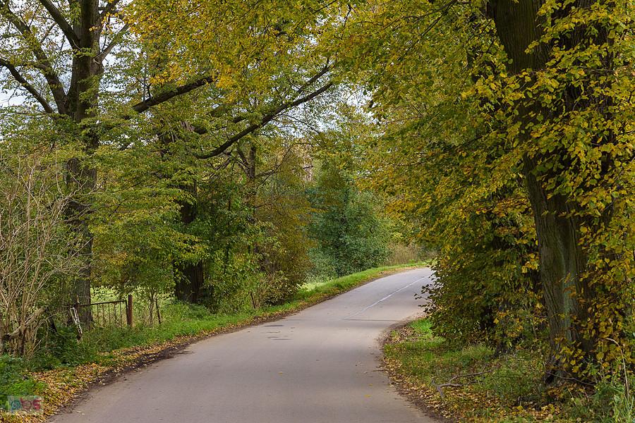 Korwinów, ul. Spadkowa
