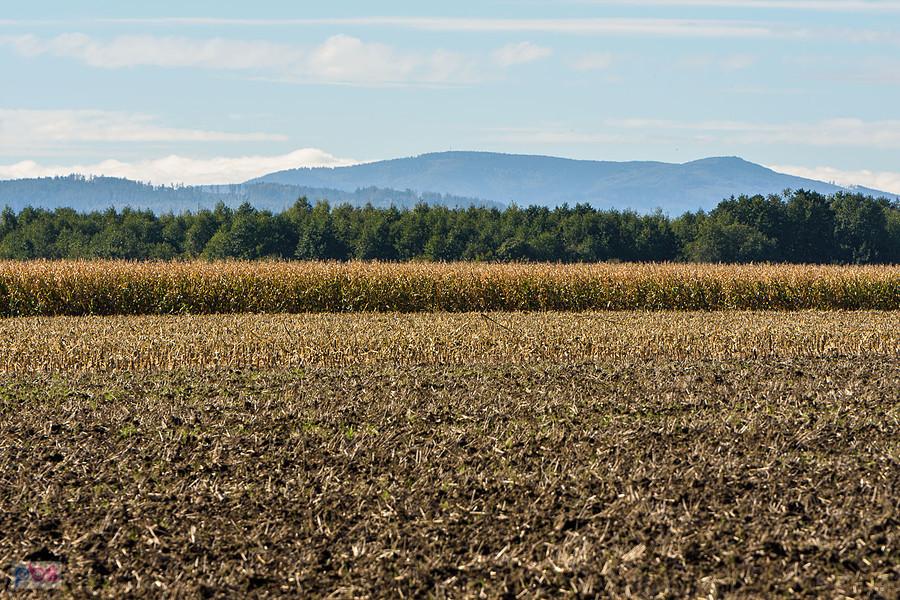 Łąka Prudnicka i widok na Sudety