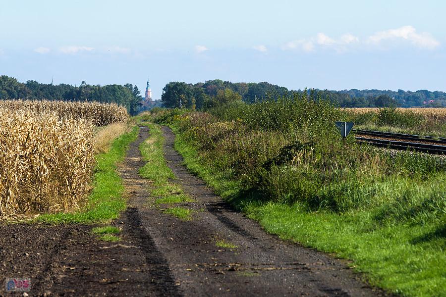 Szybowice - widok w kierunku Prudnika i wieży kościoła Św. Michała Archanioła.