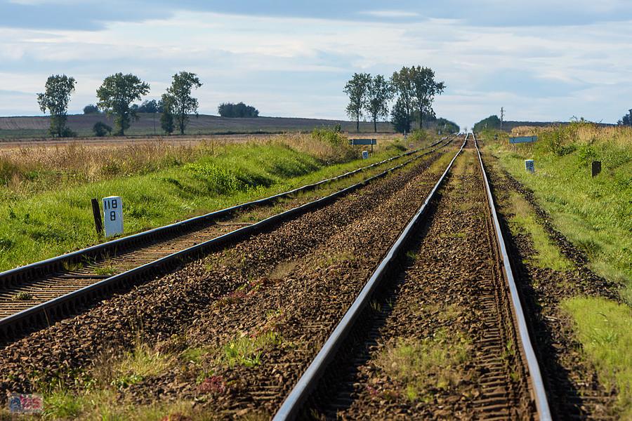 Linia D29-137 w Szybowicach - szlak w kierunku Nowego Świętowa.