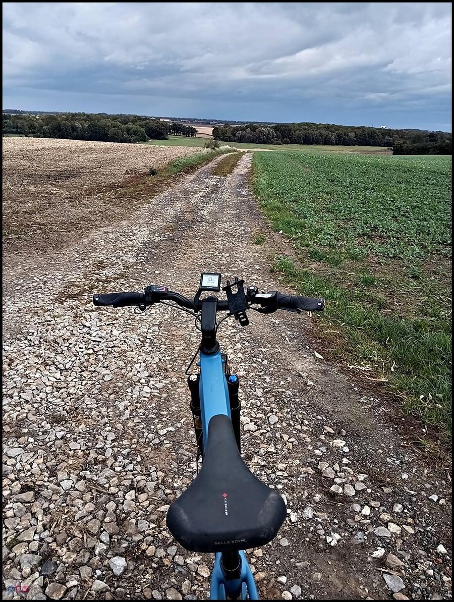 w stronę domu