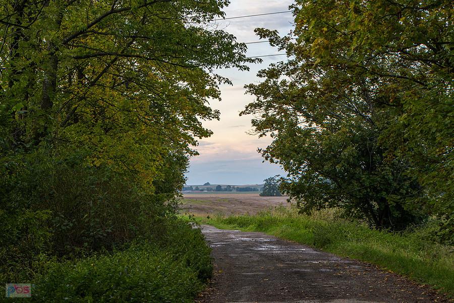 Łąka Prudnicka