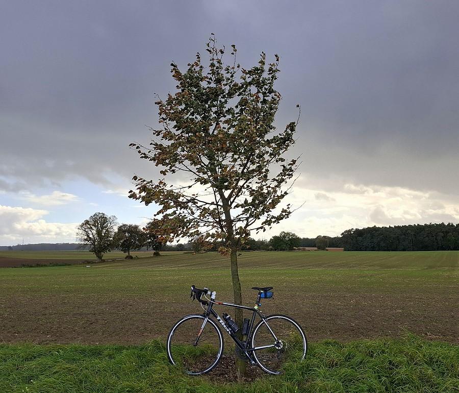 Rowerówka przed deszczem