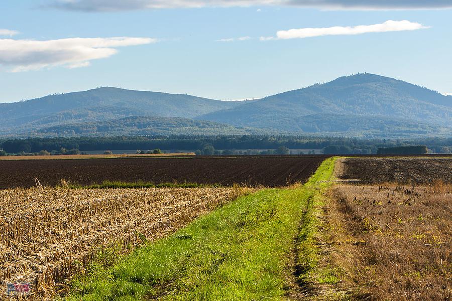 Szybowice i widok na Sudety