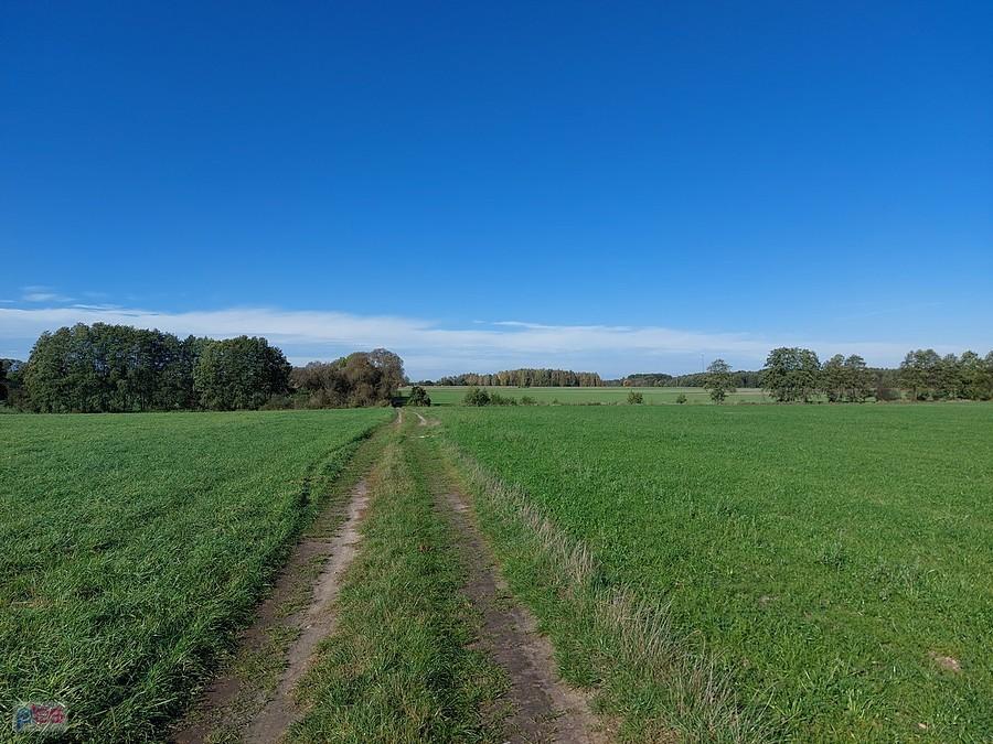 Polna droga koło Wysieradza