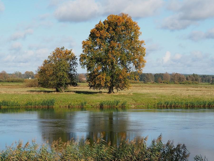 Jesiennie nad Wartą