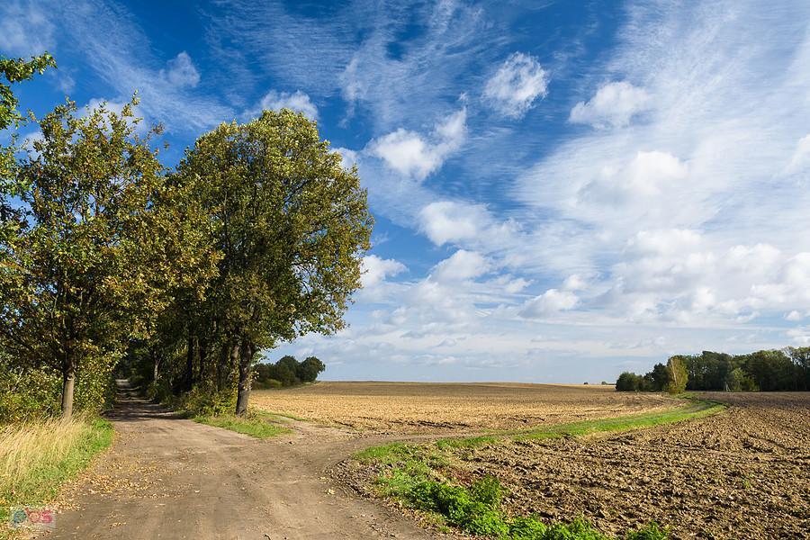 Pogranicze wsi Bykowice i Strobice