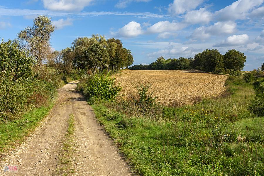Styk trzech miejscowości Bykowice, Strobice i Goszowice