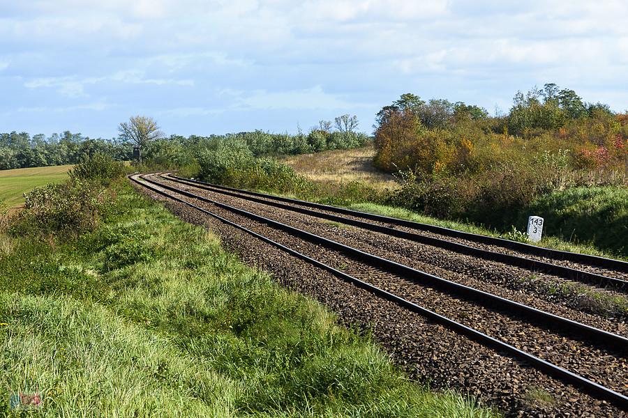 Podsudecka magistrala kolejowa, czyli linia D29-137 w Sękowicach, szlak Goświnowice - Nysa