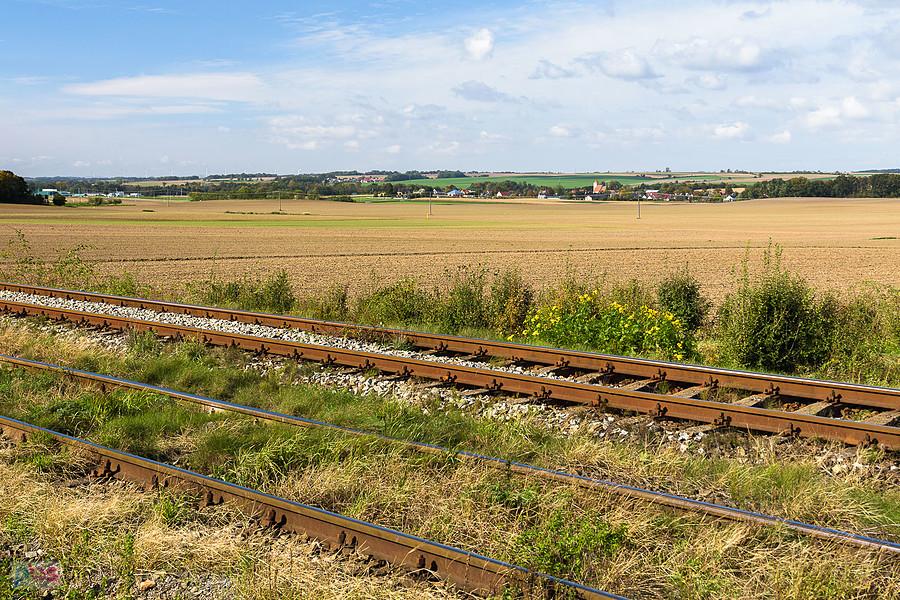 Pogranicze Sękowic i Jędrzychowa - widok w kierunku Radzikowic