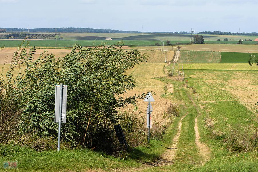 Pogranicze Sękowic i Jędrzychowa