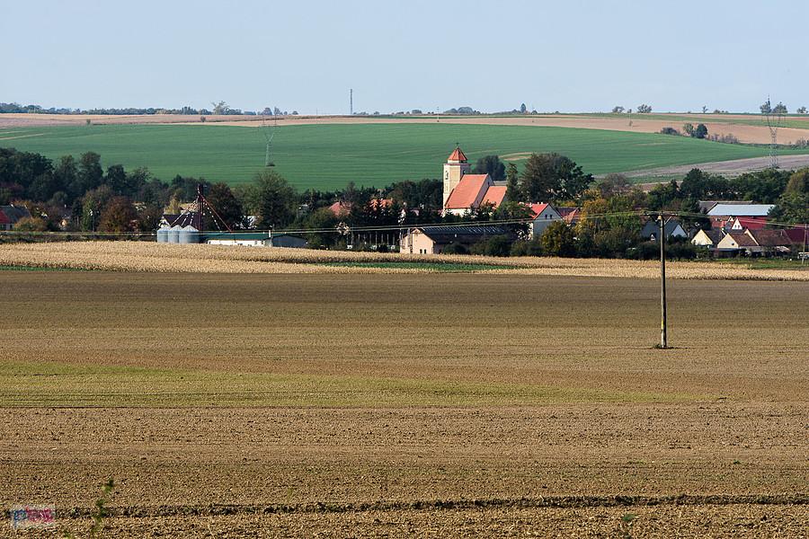 Widok z pogranicza Sękowic i Jędrzychowa w kierunku Radzikowic - kościół Św. Bartłomieja