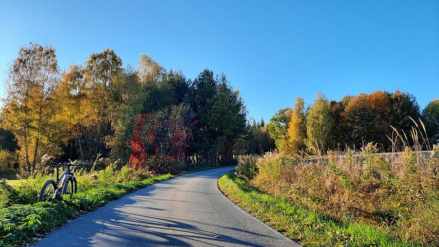 Jesień jak z obrazka.