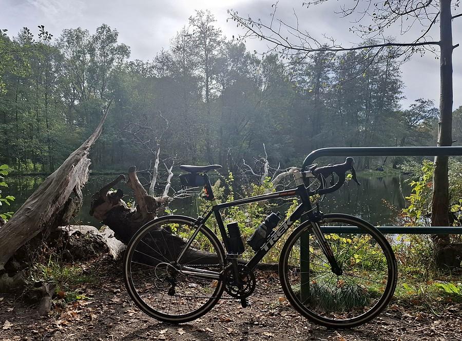 Prześwietlona rowerówka