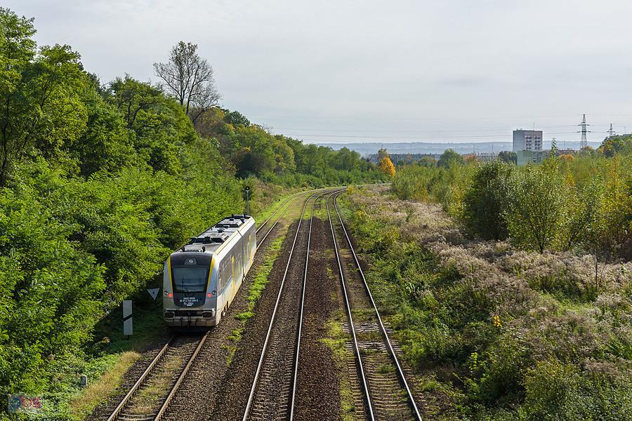SA137-003 jako poc. Regio 64624 relacji: Brzeg - Kędzierzyn-Koźle jedzie linią D29-288 Brzeg - Nysa D29-288, pokonując odcinek po. Myśliczyn - Nysa.