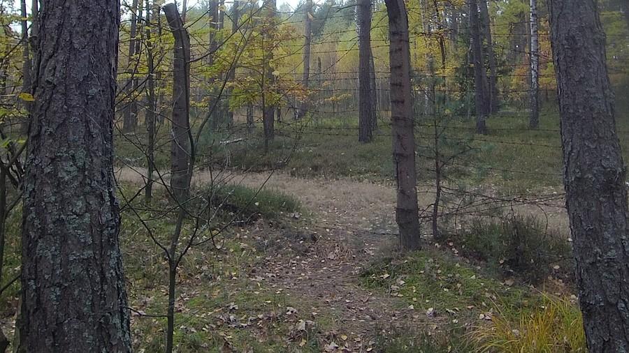 Dziura w płocie