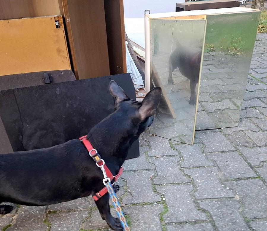 Kropa sprawdza czy druga Kropa zareaguje :)