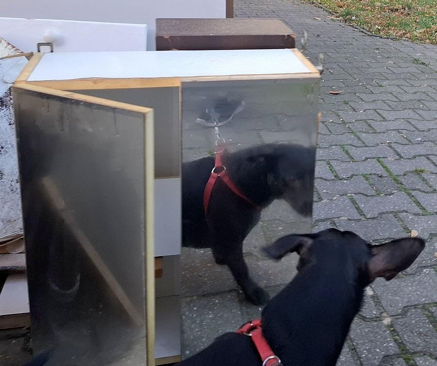 Kropa już chyba uspokojona :)