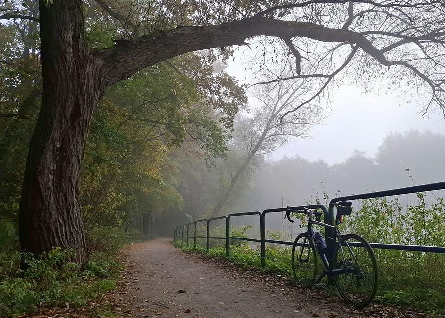 Mglista rowerówka