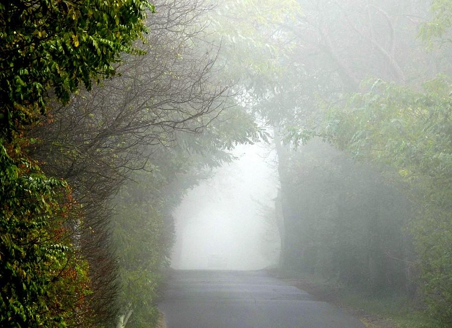 Mglisty tunel