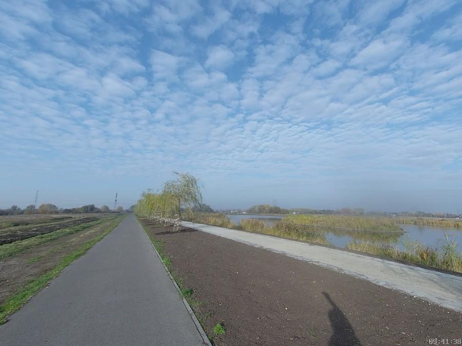 Michałowice, droga wzdłuż stawów