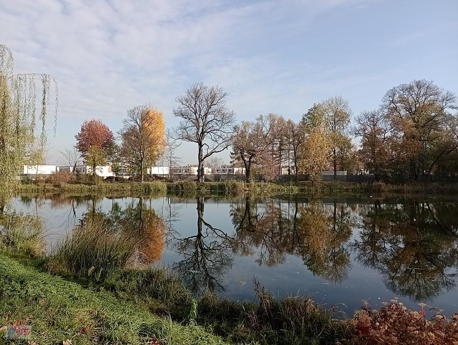 Staw w Ołtarzewie