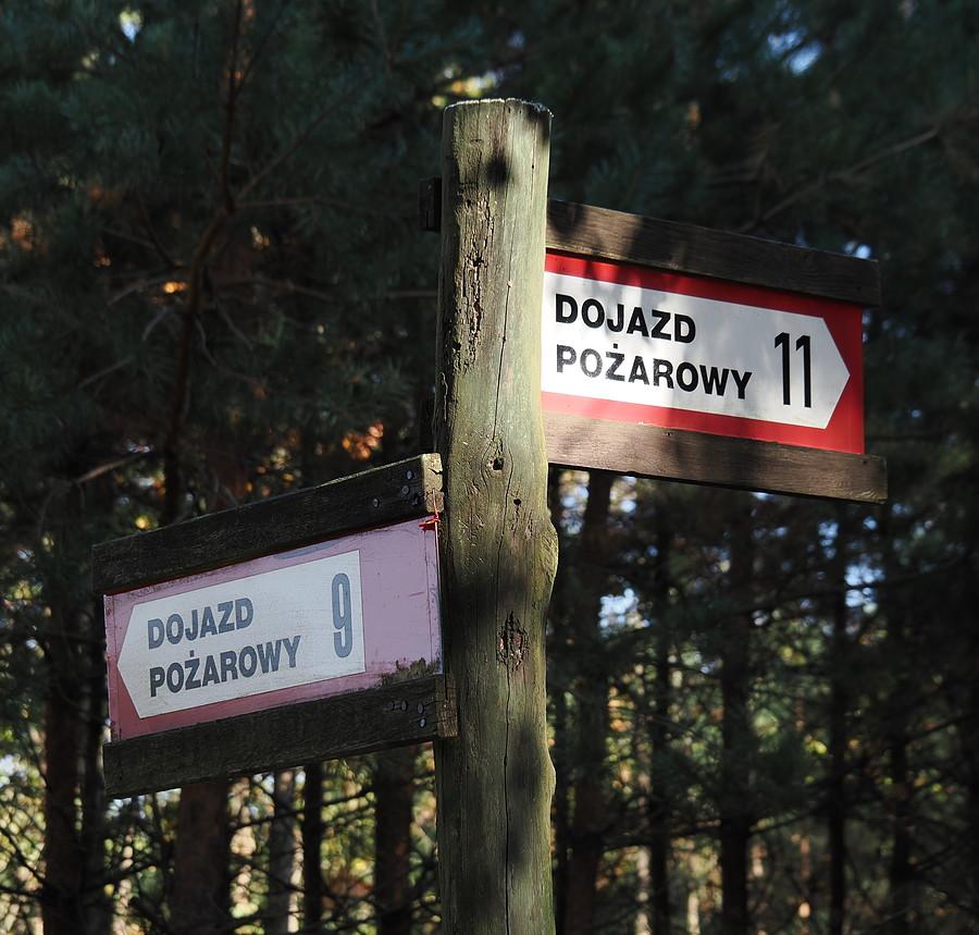 Krzyżówka dojazdów pożarowych w Puszczy Rzepińskiej