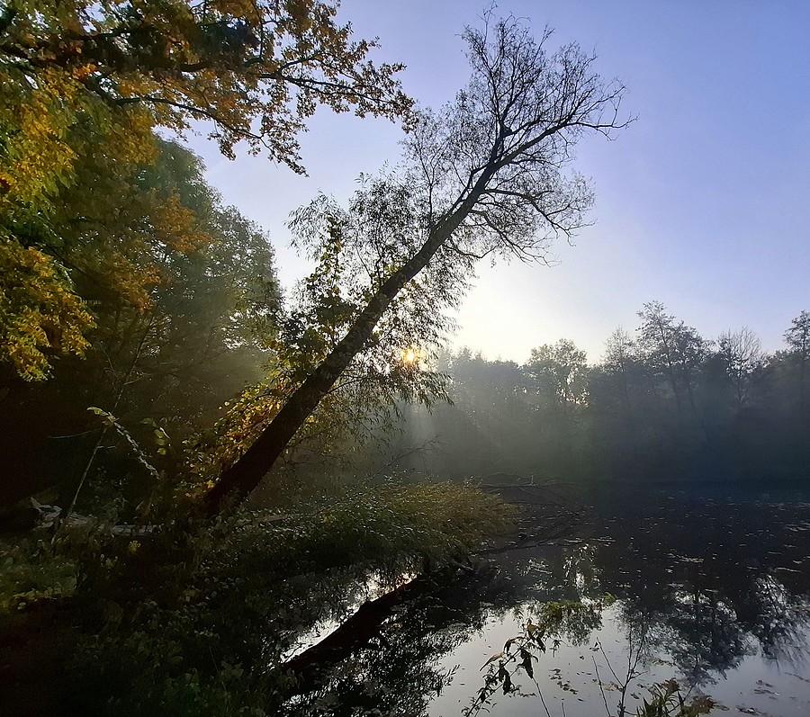 Poranek na Dębinie