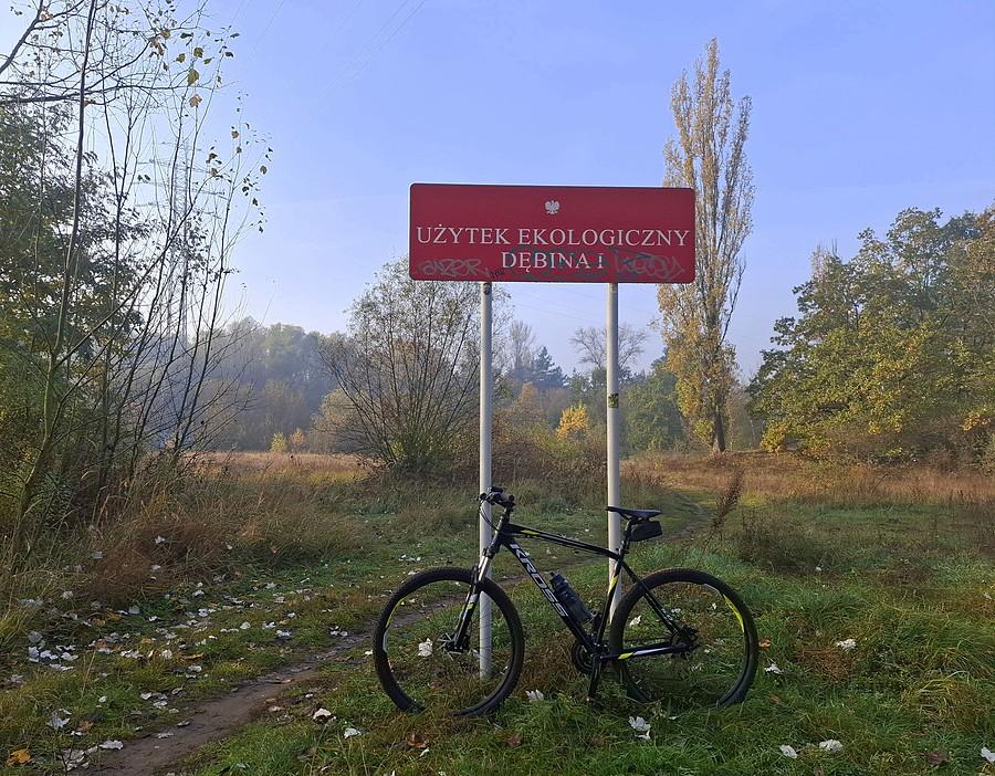 Przy granicy Dębiny