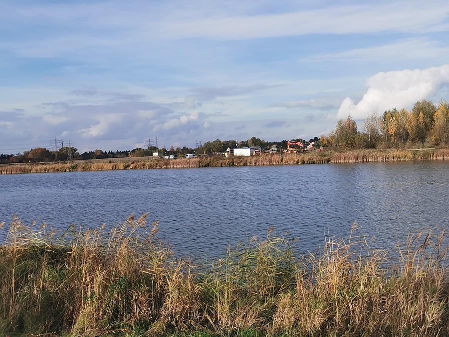 Staw w Michałowicach