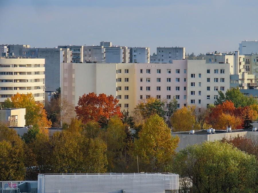 Jesień na blokowisku