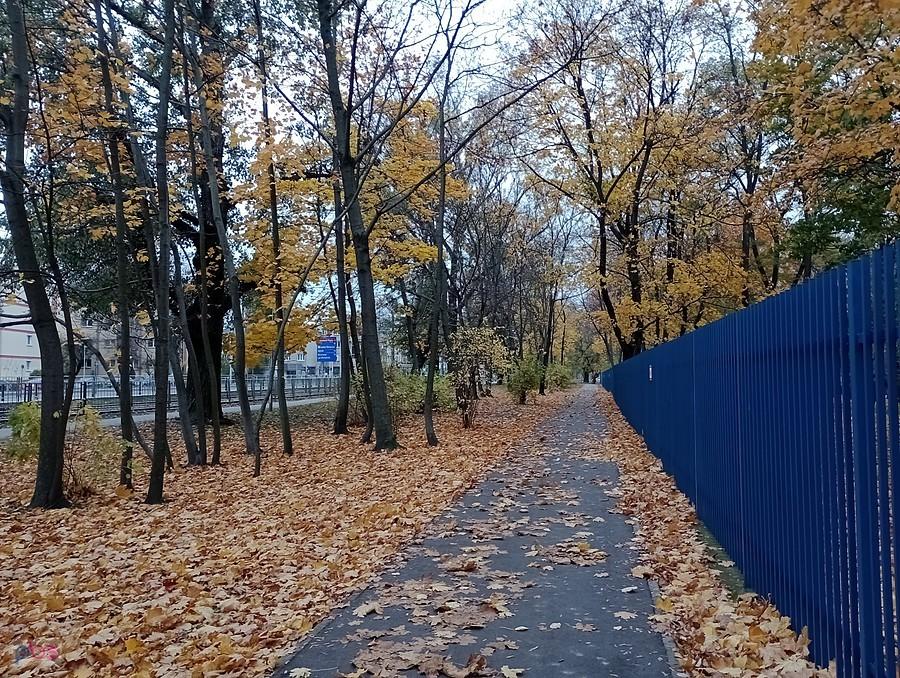 Jesienna ddr na Marymonckiej