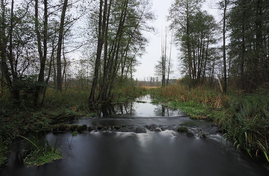 Ilanka pod Starościnem