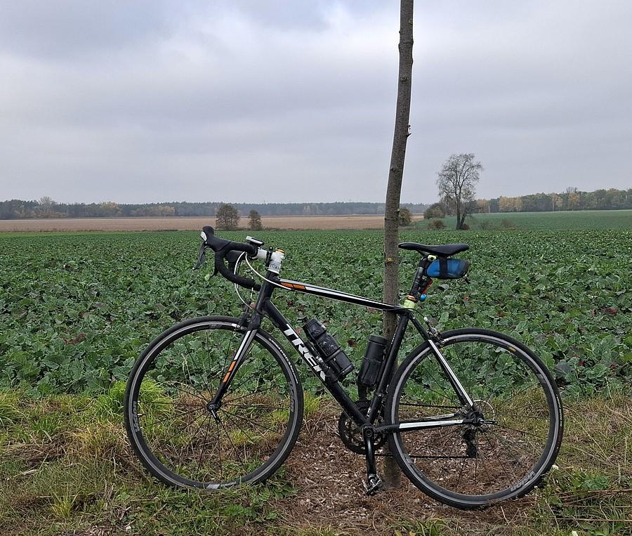 Rowerówka pod chmurką