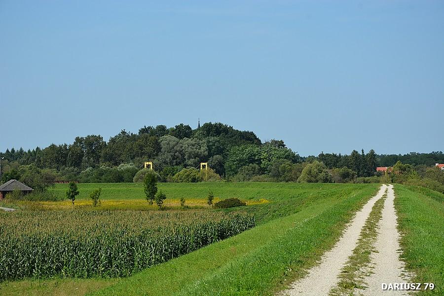 Kładka wisząca Mikluszowice