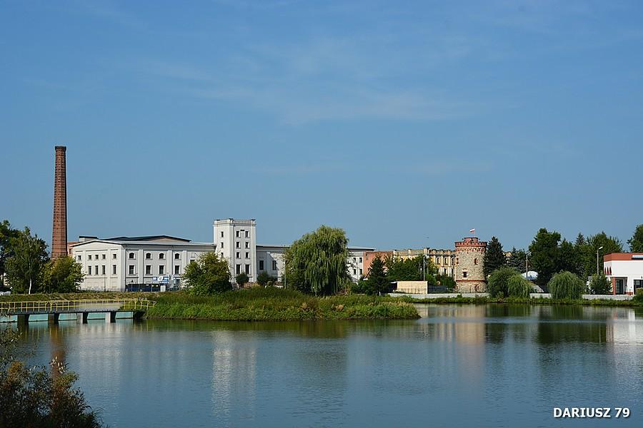 Kazimierza Wielka