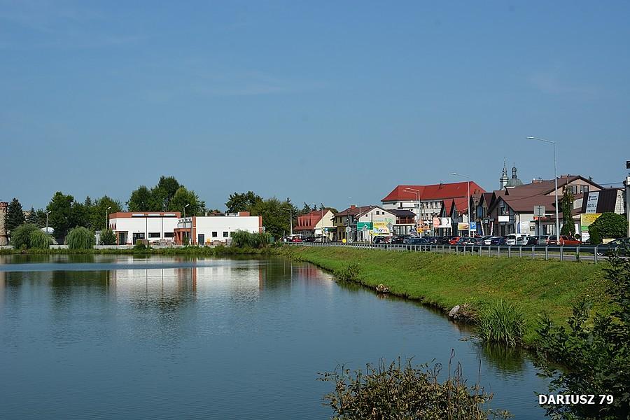 Kazimierza Wielka